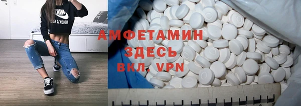 прущие грибы Верея