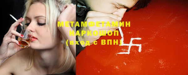 прущие грибы Верея