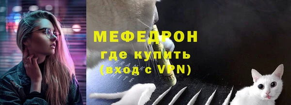 прущие грибы Верея
