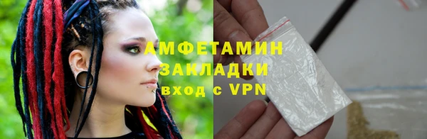 прущие грибы Верея