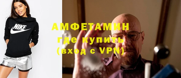 прущие грибы Верея
