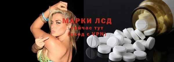 прущие грибы Верея