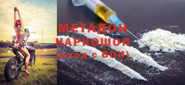 прущие грибы Верея