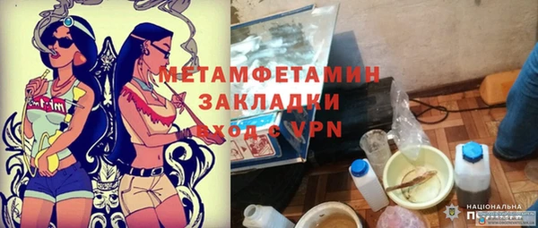 прущие грибы Верея