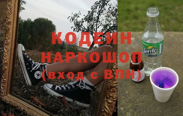 прущие грибы Верея