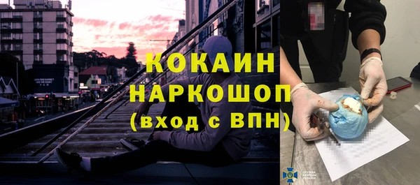 прущие грибы Верея