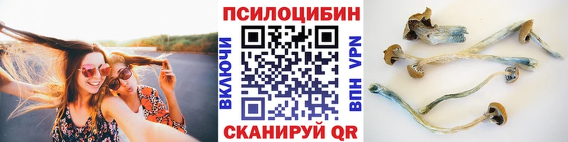 Псилоцибиновые грибы ЛСД  omg как войти  Юрюзань  купить  цена 